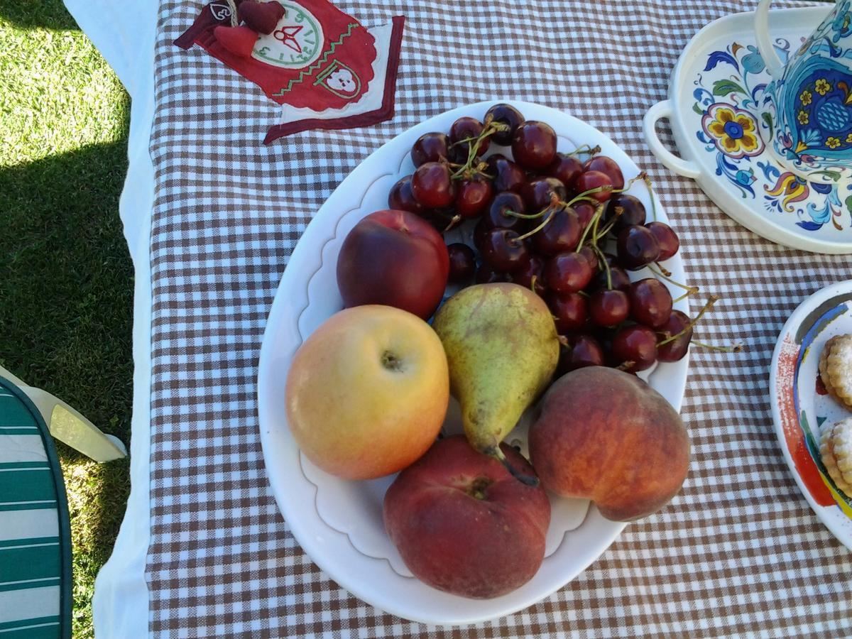 Sa Mariposa Bed & Breakfast Ittiri Dış mekan fotoğraf